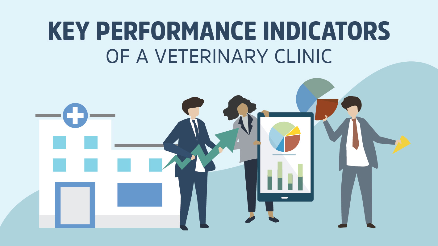 setting key performance indicators for veterinary practice